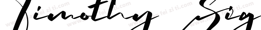 Timothy Sign Demo字体转换